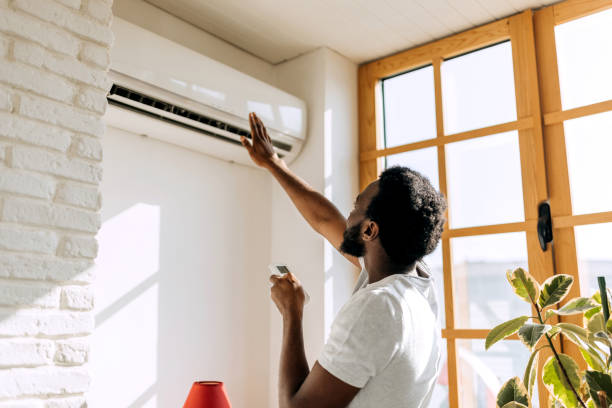 Best Ductless Mini-Split Systems in North Bend, WA